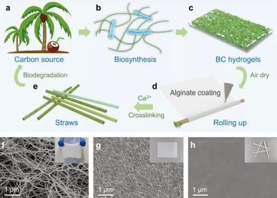 能醫用能凈水還能做吸管,細菌纖維素會是未來新材料行業“新貴”嗎?